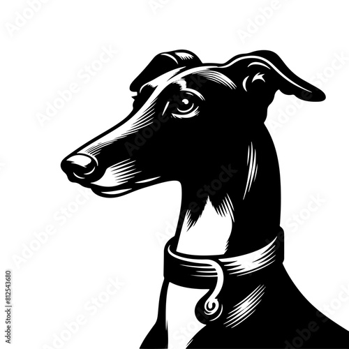 Whippet Dog Vector Silhouette - Minimalist whippet Dog Illustration.