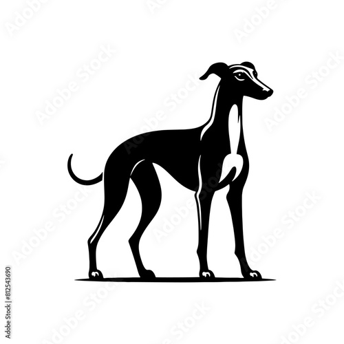 Whippet Dog Vector Silhouette - Minimalist whippet Dog Illustration.