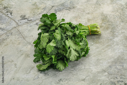 Fresh green cilantro branches heap photo