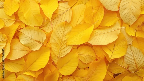 A Close-Up Texture of Autumn Fallen Leaves  Painting Nature s Transition in Shades of Yellow