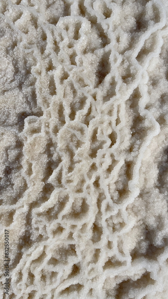 Close-Up Salt Crystals Intricate Patterns Natural White Texture Close-Up Salt Crystals Intricate Patterns Natural White Texture