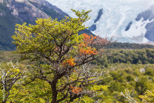 View of Los Glaciares National Park, El Chalten,Patagonia, Argentina.