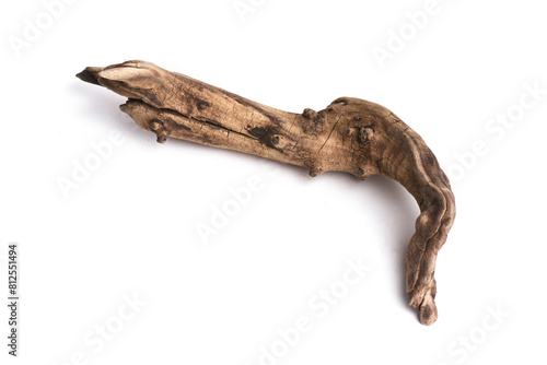 Dried wooden tree branch snag isolated on the white background. © Dmitriy