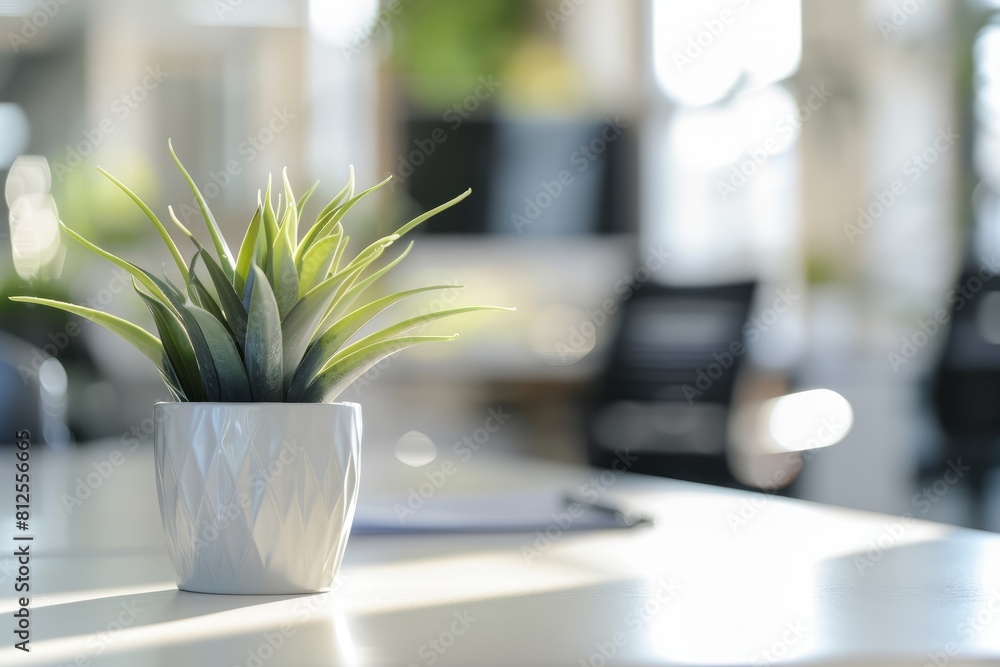 A potted plant sits on a desk in a modern office setting A potted plant sits on a desk in a modern office setting