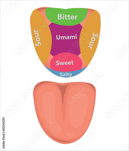 Tongue and ear parts vector set, tongue and mouth cleaning vector 