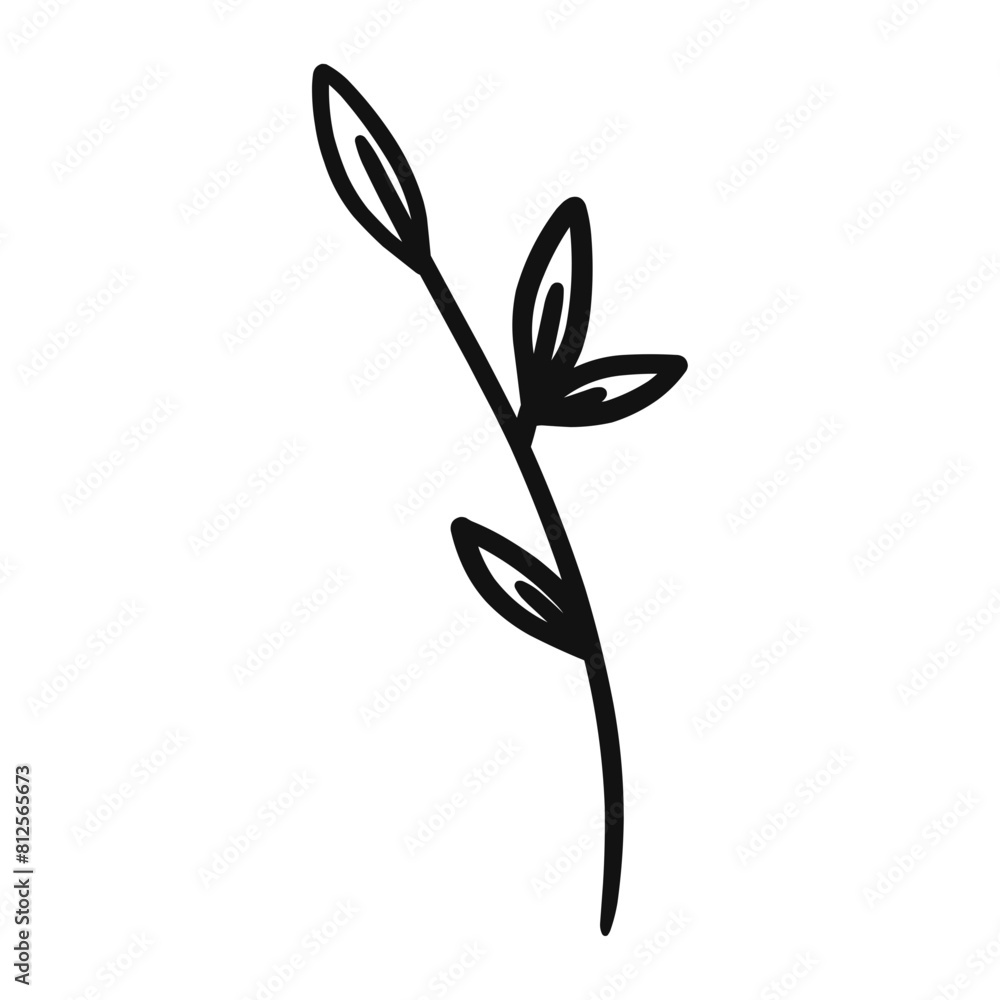 Obraz premium black and white flower Monochrome Leaf