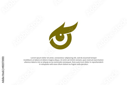 eagle eye and letter o logo