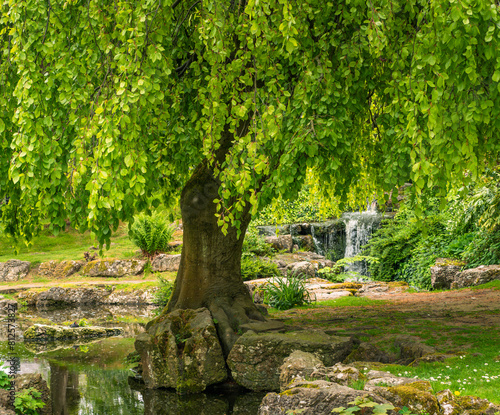 English Park  with Waterfall in Spring
