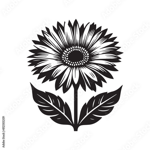  Gerber flower silhouette 