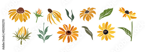 Set Black-eyed Susan flowers with leaves and buds colorful vector botanical illustrations isolated on transparent background. Rudbeckia flower design for logo, tattoo, wall art, branding, packaging.
