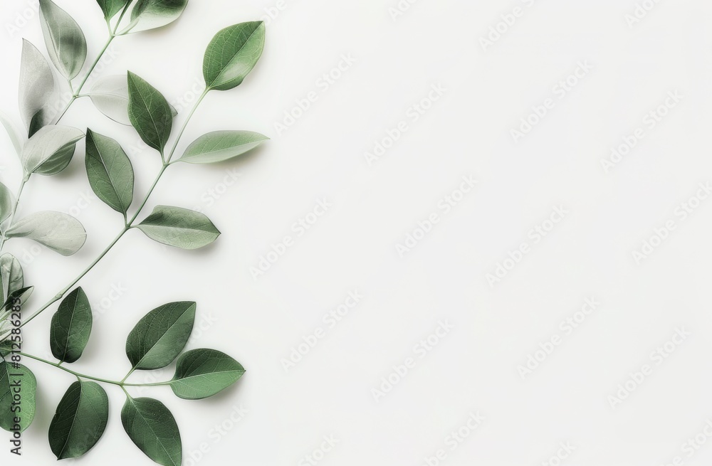 A white background with subtle gradients, perfect for highlighting product images and creating a clean, modern A white background with subtle gradients, perfect for highlighting product images and creating a clean, modern