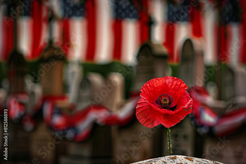 A photo text of the word  Memorial Day  preceding an artistic shot of a single red poppy in full bloom in front of a series of tombstones draped with American flags.