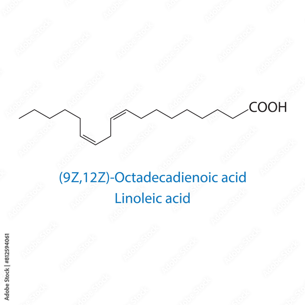 (9Z,12Z)-octadecadienoic acid, linoleic acid molecule skeletal structure diagram.fatty acid compound molecule scientific illustration on white background. (9Z,12Z)-octadecadienoic acid, linoleic acid molecule skeletal structure diagram.fatty acid compound molecule scientific illustration on white background.