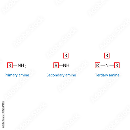 Primary, Secondary and Tertiary amine molecule skeletal structure diagram.organic compound molecule scientific illustration on white background.