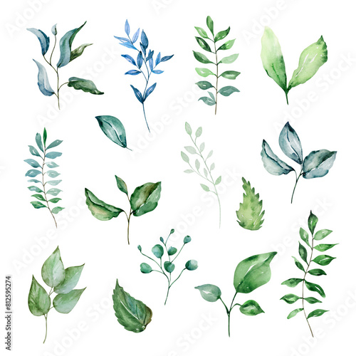 Green leaves watercolor set  floral illustration