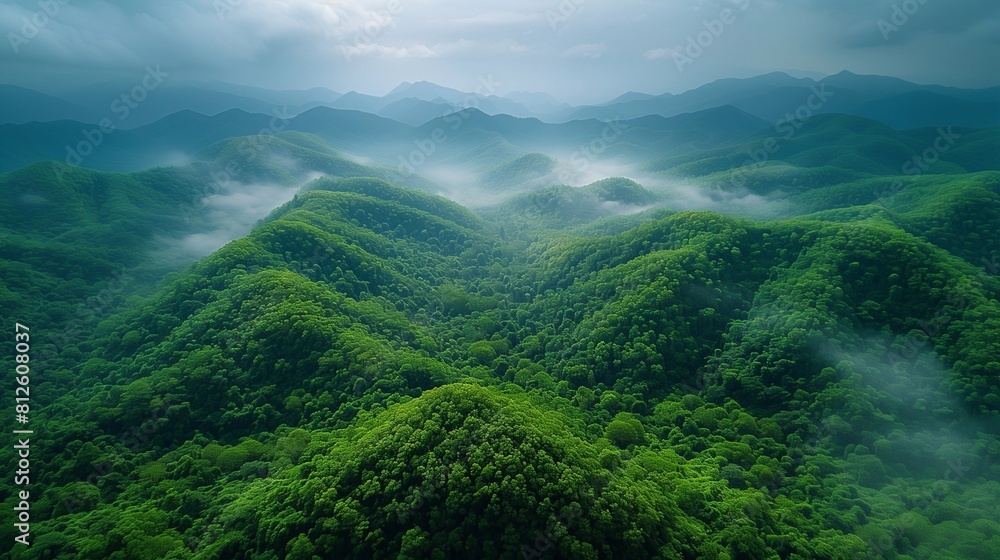 Fototapeta premium Fog over mountains covered with impenetrable green forests, view from above