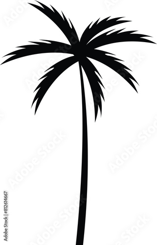 Black palm tree. Tropical palm tree and leaf silhouette. Design of palm trees for posters  banners and promotional and decoration items. Vector