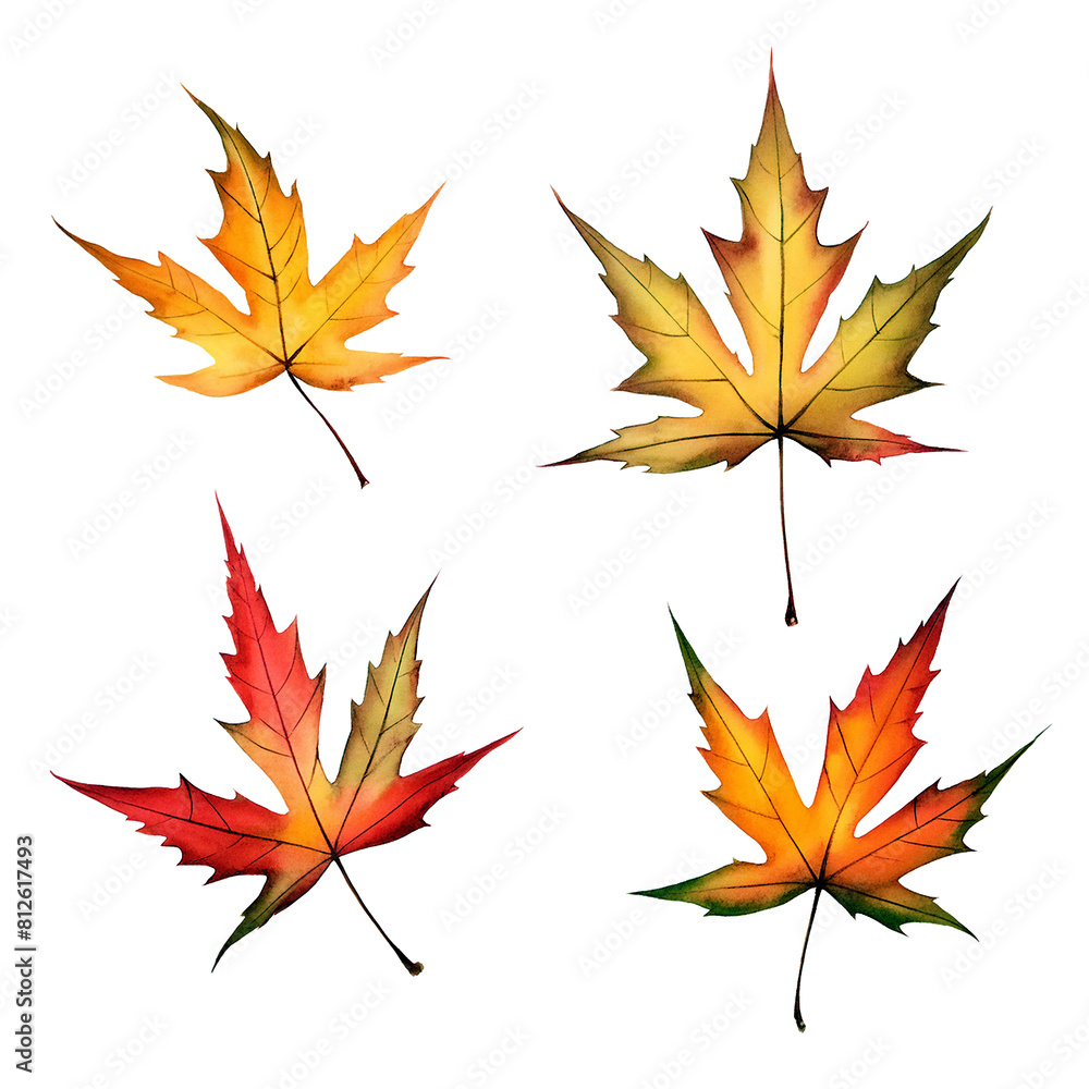 もみじ 紅葉の葉の単体イラスト 背景透過 もみじ 紅葉の葉の単体イラスト 背景透過