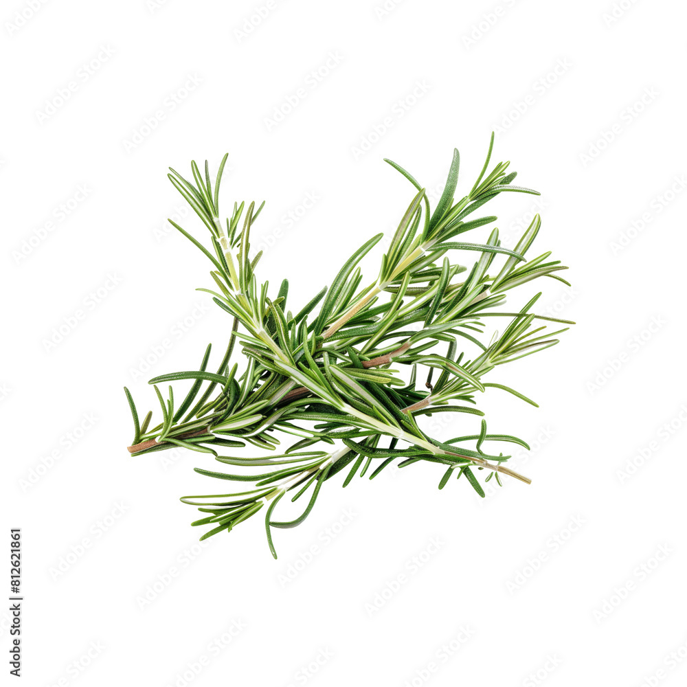 Add A Festive Touch To Your Holiday Treats, Isolated Transparent Background Images Add A Festive Touch To Your Holiday Treats, Isolated Transparent Background Images