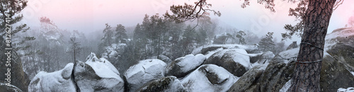 Dovbush rocks in winter in Bubnyshche, Carpathians, Ukraine, Europe. Huge stone giants rise in the snowy transparent beech forest, all-round panoramic views are unique without leaves photo
