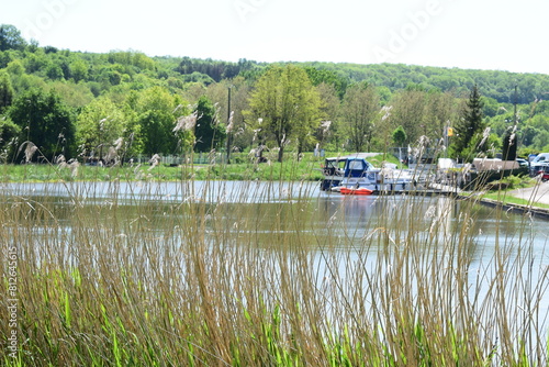ships behind swamp grass on the Sarre channel in northern France