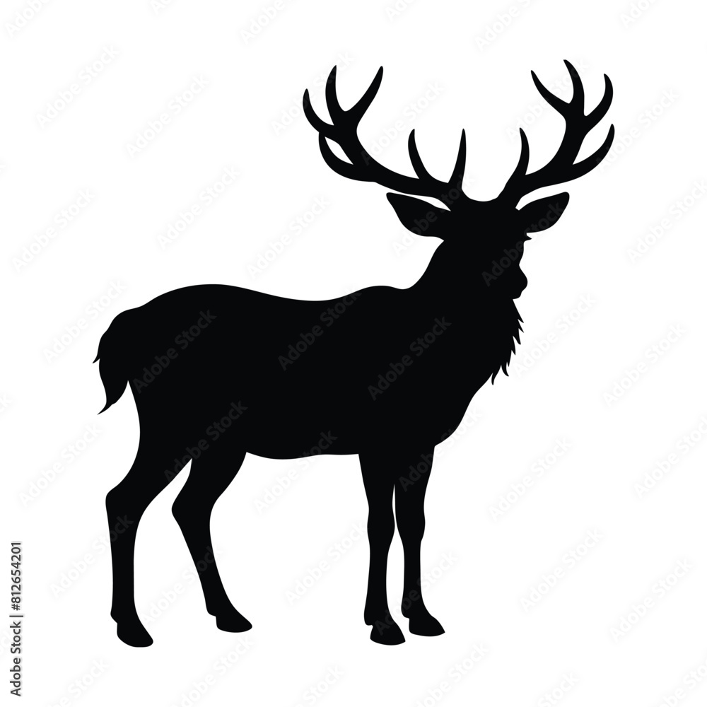 Obraz premium silhouette of a deer stag 