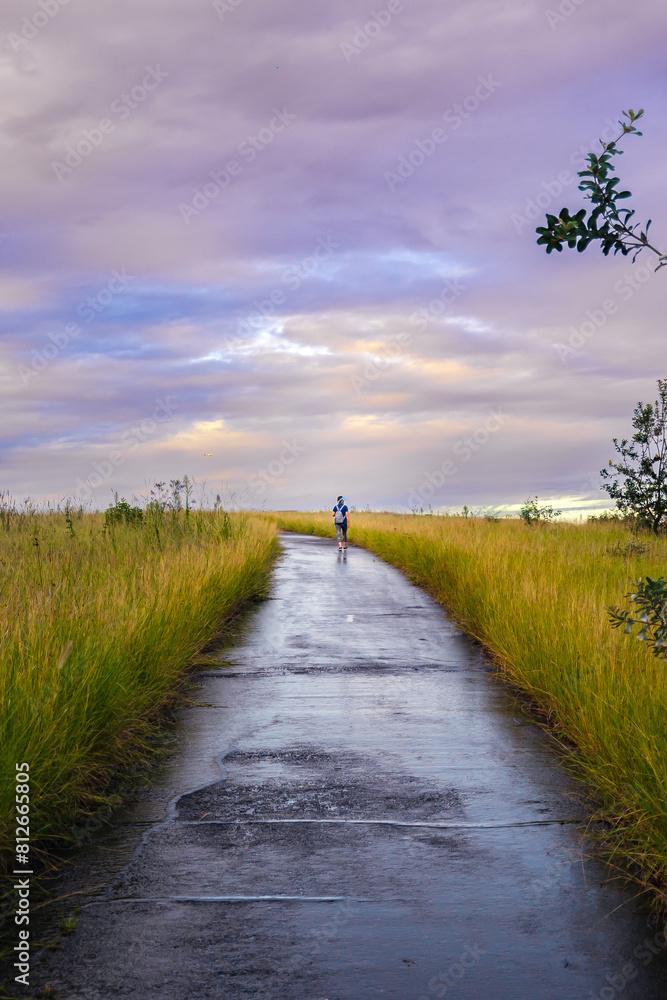 Fototapeta premium Rainy Walk.
