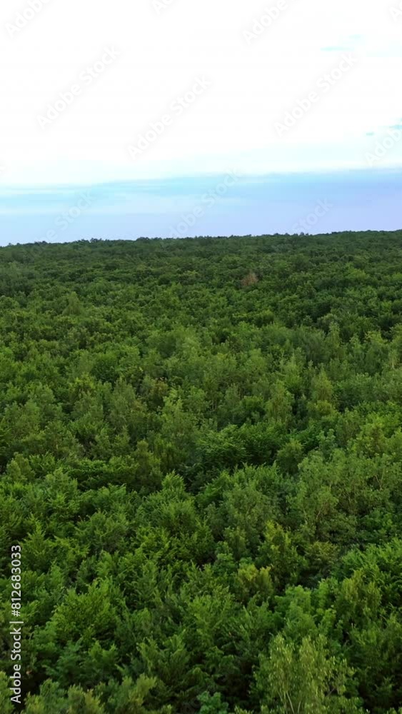 Natural green scenery in the countryside. Flying over beautiful lanscape of woodland in a summer day. Camera moves forward. Vertical video Natural green scenery in the countryside. Flying over beautiful lanscape of woodland in a summer day. Camera moves forward. Vertical video