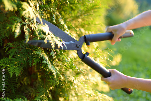 Fototapeta Hands of female gardener