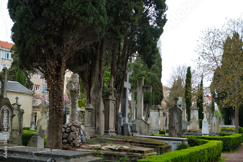  Graves in a public Christian cemetery in autumn. Viewed from a side angle to the graves in a row. 