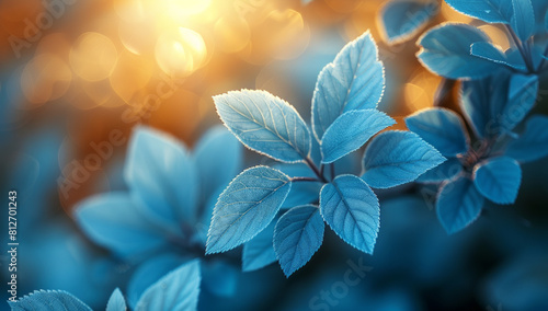 Closeup of Blue Leaves in Dreamy Soft Focus and Ethereal Light