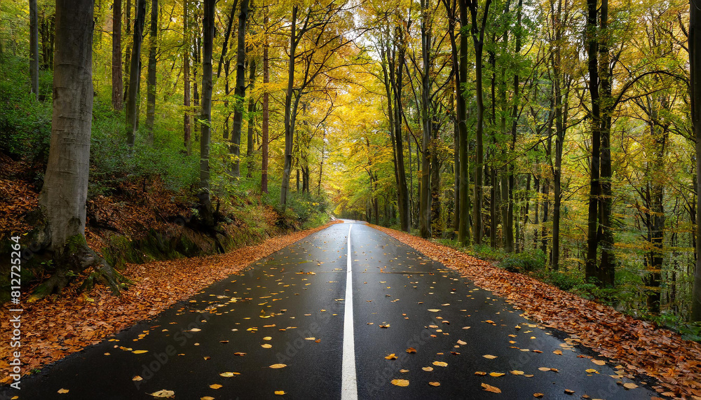 Obraz premium Black asphalt tarmac road leading through dense forest in autumn with lying scattered leaves