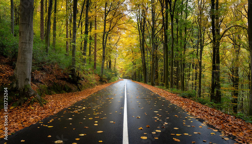 Black asphalt tarmac road leading through dense forest in autumn with lying scattered leaves photo