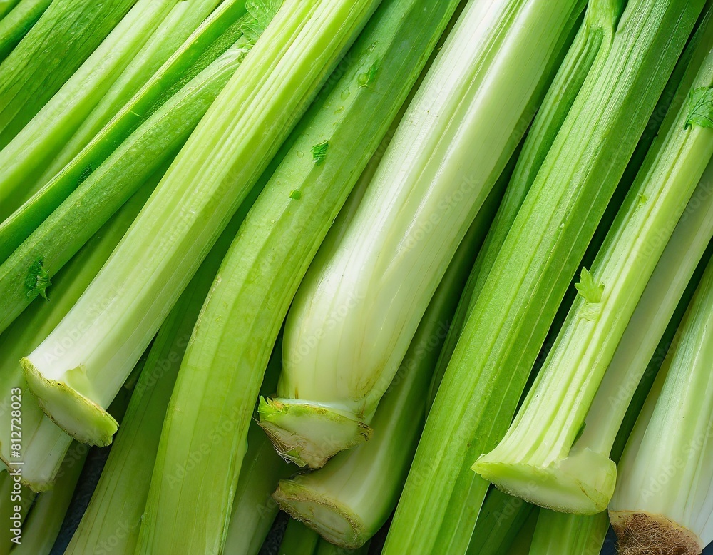 many stalks of celery close-up texture many stalks of celery close-up texture