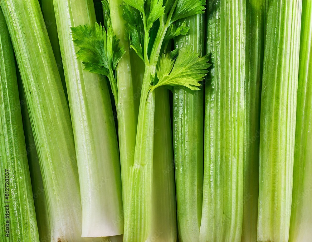 many stalks of celery close-up texture many stalks of celery close-up texture