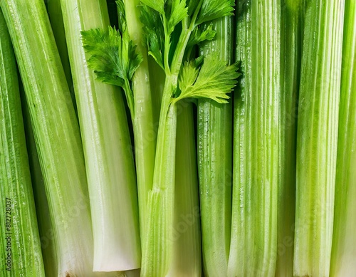 many stalks of celery close-up texture