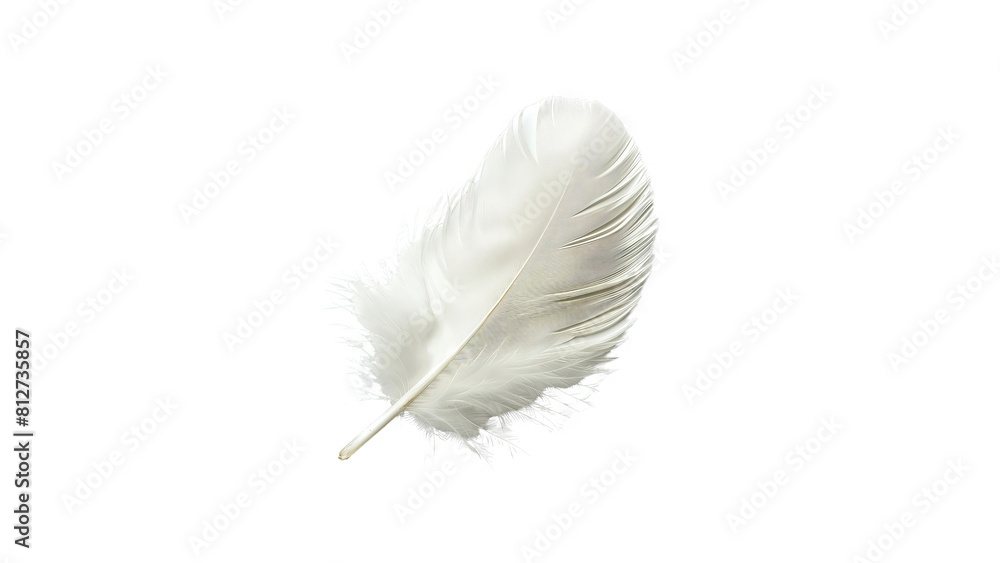 Obraz premium A white feather with a soft and delicate texture.