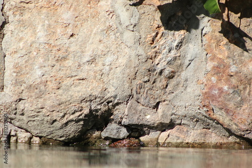 PEDRA