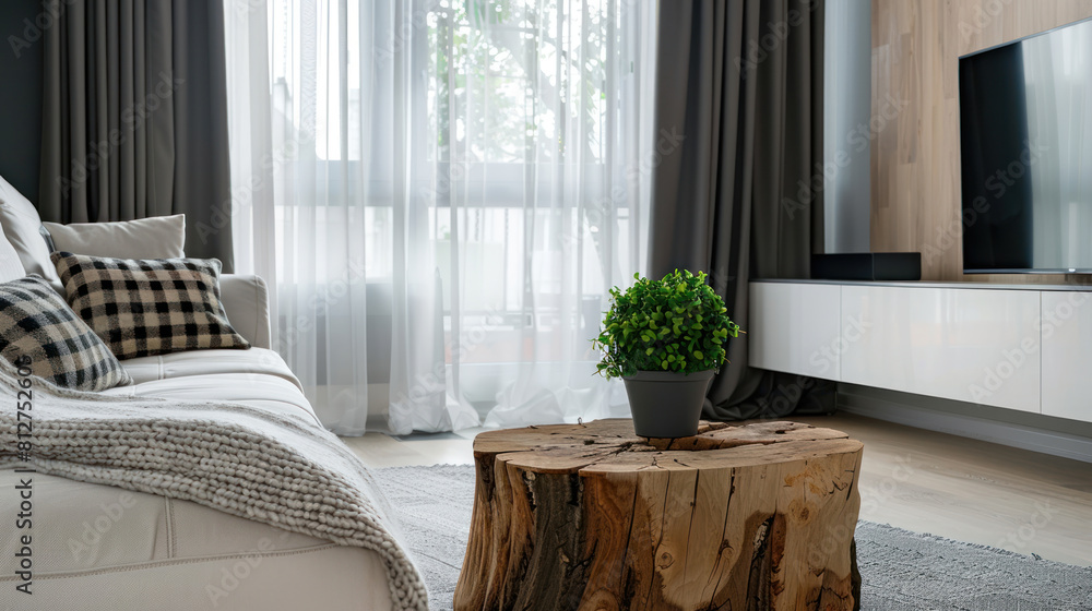 Tree stump coffee table near white sofa with grey knitted plaid near tv unit against window dressed with black and white curtains. Minimalist luxurious interior design of modern living room, home. Tree stump coffee table near white sofa with grey knitted plaid near tv unit against window dressed with black and white curtains. Minimalist luxurious interior design of modern living room, home.