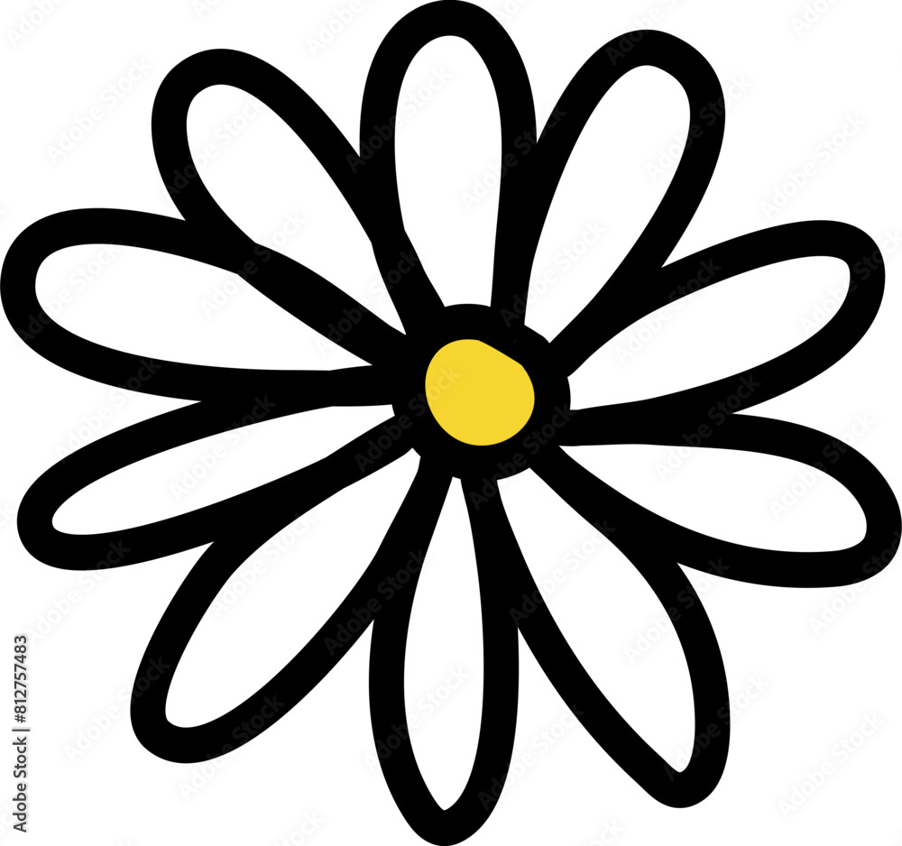 Summer flowers daisy 