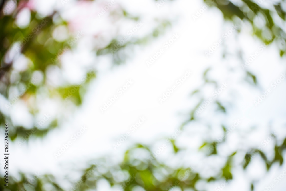 Blur background green park garden nature bright sunny forest. Blurry outdoor park in spring time glowing shinny day template with sunlight bokeh. Abstract blurred background banner copy space. Blur background green park garden nature bright sunny forest. Blurry outdoor park in spring time glowing shinny day template with sunlight bokeh. Abstract blurred background banner copy space.