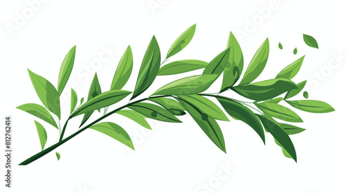 Acai one green leaf herbal tea foliage. Vector hand