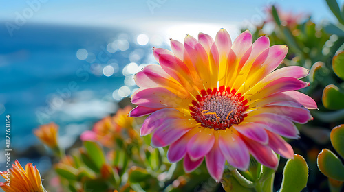 Coastal Bloom at Sunset