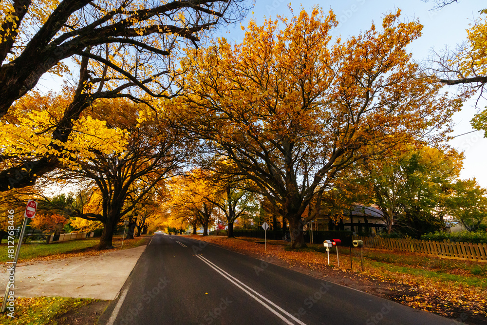 Glenlyon Main Street in Victoria Australia Glenlyon Main Street in Victoria Australia