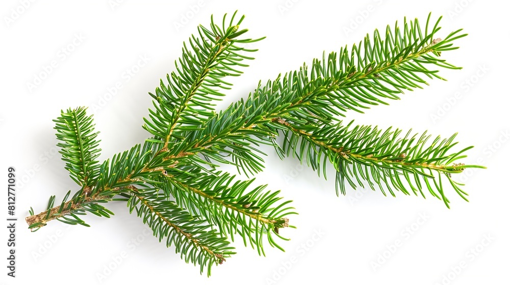 Christmas Fir branch isolated png transparent christmas tree Christmas green spruce branch Object for christmas card packaging banner calendar : Generative AI Christmas Fir branch isolated png transparent christmas tree Christmas green spruce branch Object for christmas card packaging banner calendar : Generative AI
