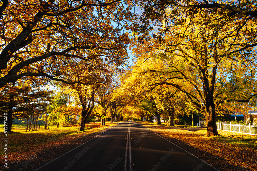 Obraz premium Glenlyon Main Street in Victoria Australia