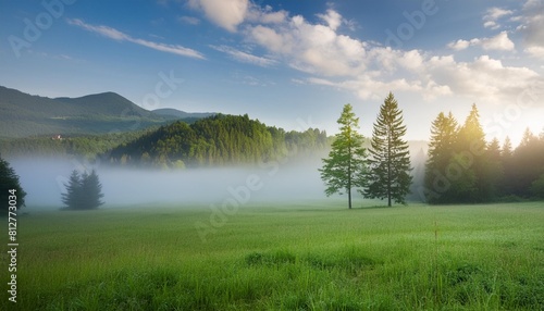 summer nature misty morning beautiful tranquil morning landscape