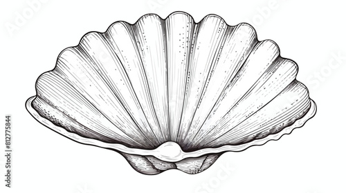 Beautiful shell on sea or ocean beach. Seashell of
