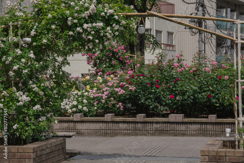 東京港区赤坂氷川公園の風景