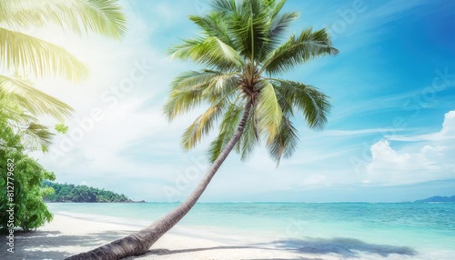 beautiful palm tree on tropical island beach on background blue sky with white clouds and turquoise ocean on sunny day perfect natural landscape for summer vacation